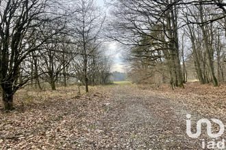  terrain carling 57490