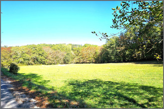  terrain carlux 24370