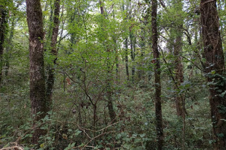  terrain carmaux 81400