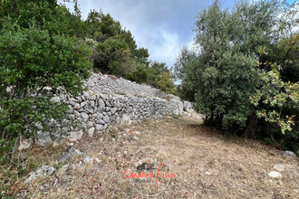  terrain carros 06510