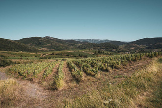  terrain cascastel-des-corbieres 11360