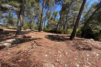  terrain cassis 13260
