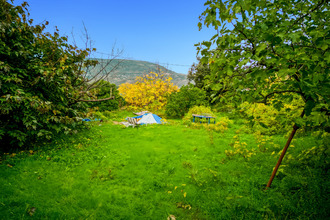  terrain castagniers 06670