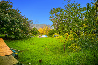  terrain castagniers 06670