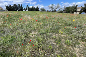  terrain castelnau-d-aude 11700