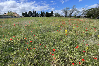  terrain castelnau-d-aude 11700