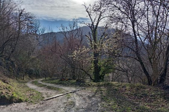  terrain castillon-en-couserans 09800