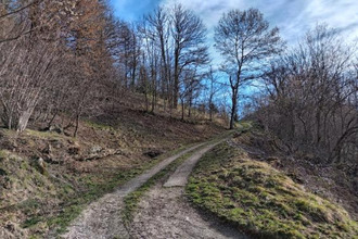  terrain castillon-en-couserans 09800