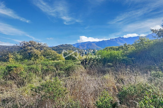  terrain cateri 20225