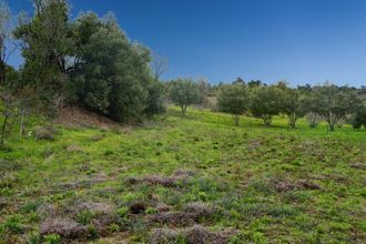  terrain caunes-minervois 11160