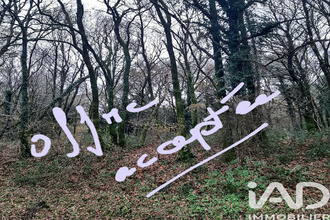  terrain caurel 22530