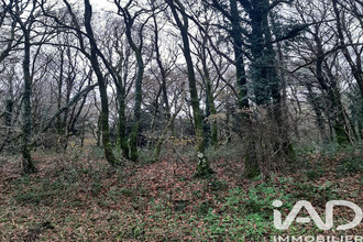  terrain caurel 22530