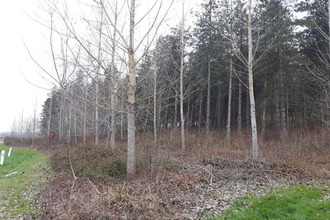  terrain cauzac 47470