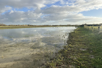  terrain cayeux-sur-mer 80410
