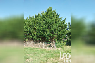  terrain cazes-mondenard 82110