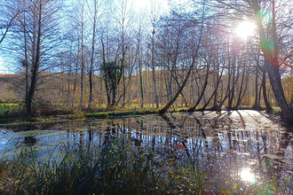  terrain cellefrouin 16260