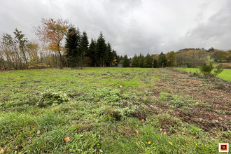  terrain celles-sur-durolle 63250