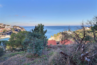  terrain cerbere 66290