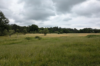  terrain cercoux 17270