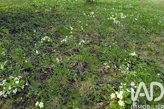  terrain cernoy-en-berry 45360