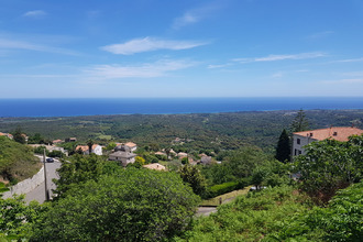  terrain cervione 20221