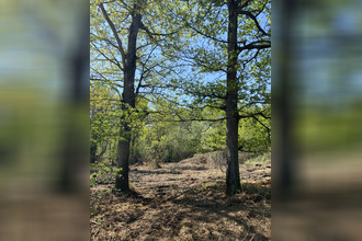  terrain challans 85300