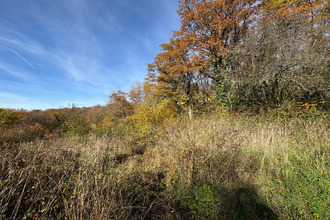  terrain champagney 70290