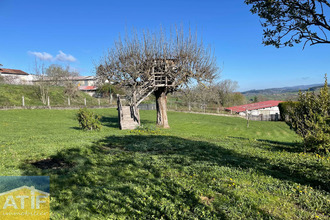  terrain champoly 42430