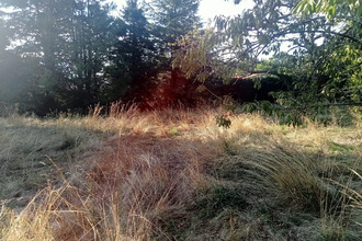  terrain chanat-la-mouteyre 63530