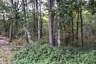  terrain chancelade 24650