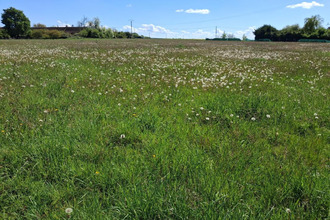  terrain chantecoq 45320