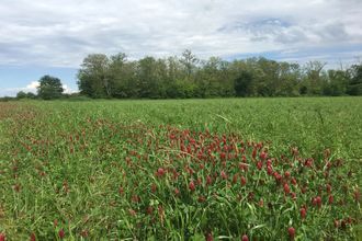  terrain charnay-les-macon 71850