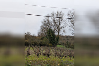  terrain chassey-le-camp 71150