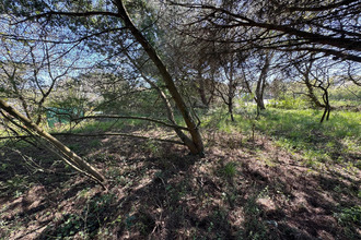  terrain chateau-d-olonne 85180