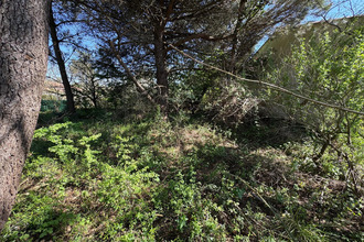  terrain chateau-d-olonne 85180