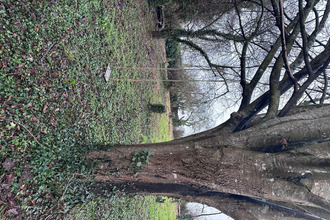  terrain chateau-gontier 53200