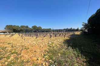  terrain chateauneuf-du-pape 84230