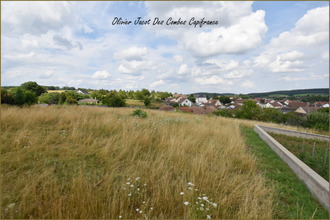  terrain chatenois-les-forges 90700