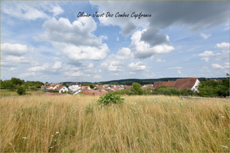  terrain chatenois-les-forges 90700