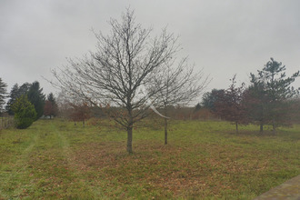  terrain chaumt-sur-tharonne 41600