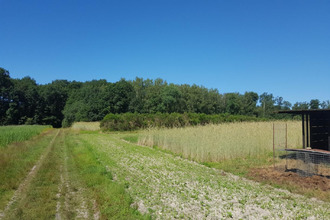  terrain clemt 18410