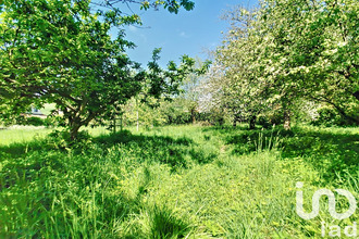  terrain colembert 62142