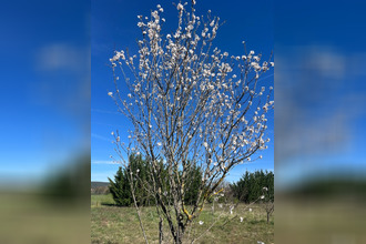  terrain collias 30210