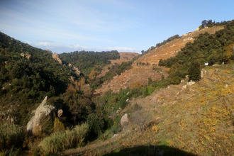  terrain collioure 66190