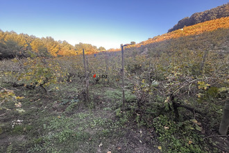  terrain collioure 66190