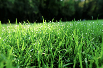  terrain colmar 68000