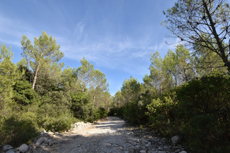  terrain combas 30250