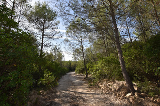  terrain combas 30250