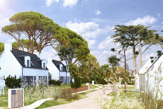  terrain combrit 29120