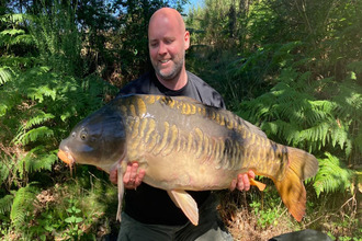  terrain compreignac 87140